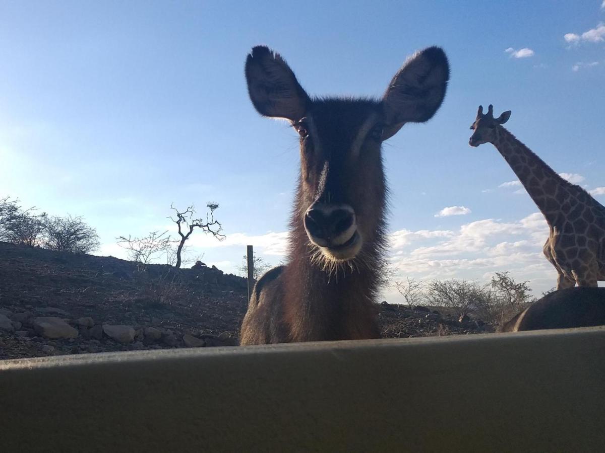 Hotel Uitkyk Guest Farm Usakos Exteriér fotografie