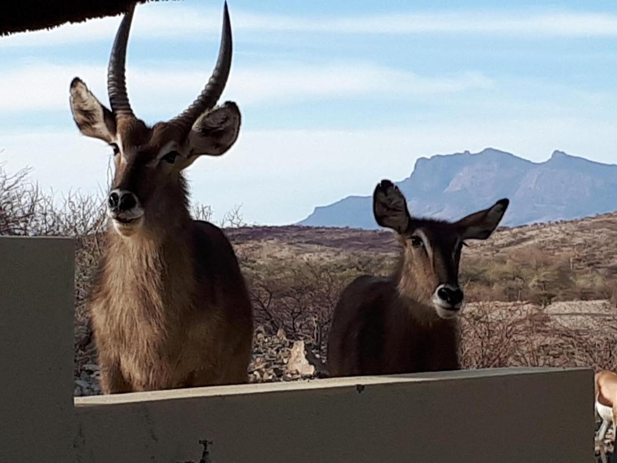 Hotel Uitkyk Guest Farm Usakos Exteriér fotografie
