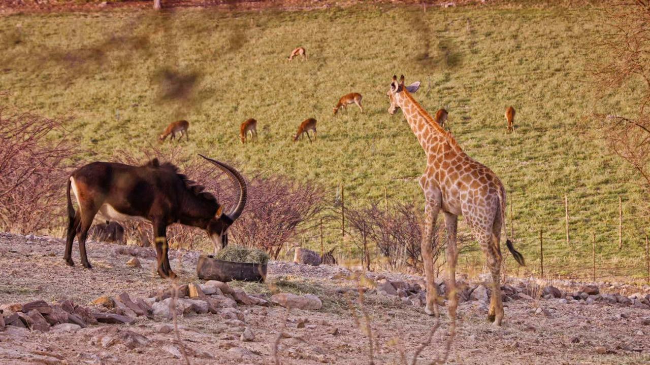 Hotel Uitkyk Guest Farm Usakos Exteriér fotografie