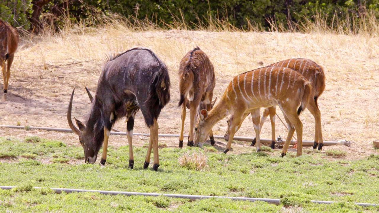 Hotel Uitkyk Guest Farm Usakos Exteriér fotografie